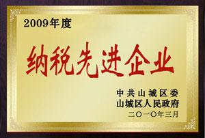 2009年度纳税先进企业